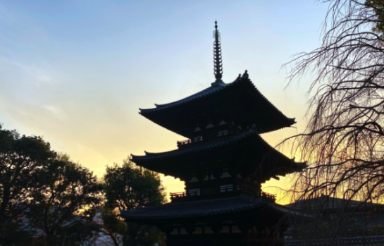 興福寺　神社　寺　風景