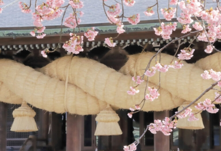 しめ縄_大きいしめ縄_神社_藁