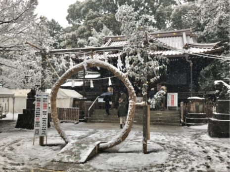 芽の輪_芽の輪くぐりとは