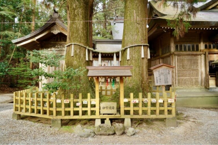 しめ縄_歴史_「変容」に関する象徴的な意味