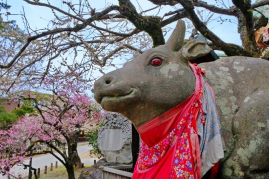 牛_北野天満宮