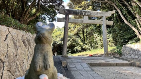 うさぎ_神社