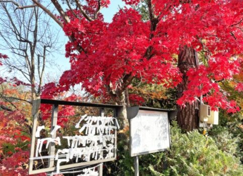 酉年_中野神社