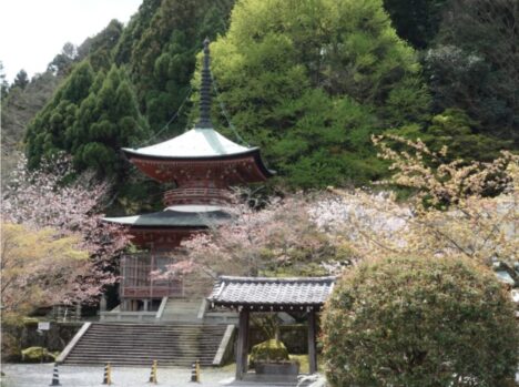 羊_虚空蔵法輪寺