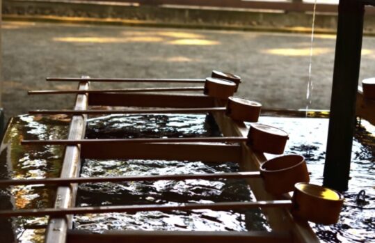 神社_参拝_作法_こめられた意味