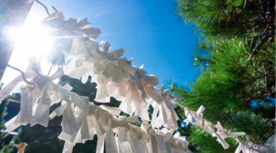 神社_おみくじ