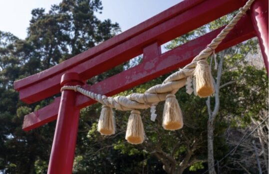 合繊しめ縄_メンテナンス_長持ち_手入れが楽