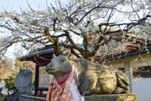 合格祈願_おすすめ_神社関西_人気