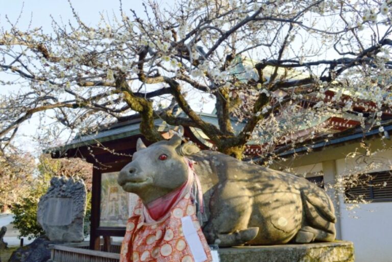 合格祈願_おすすめ_神社関西_人気