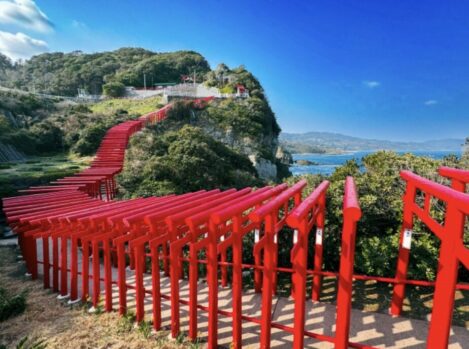 日本_ご利益_神社_おすすめ_10選