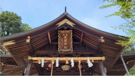しめ縄_形_違い