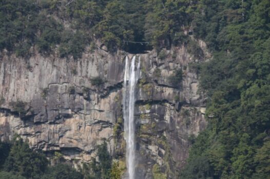 しめ縄_地域文化
