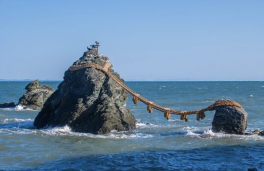 綯い方_種類_意味