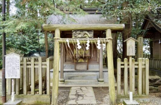 右綯い_地域限定_信仰_綯い方