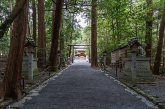 しめ縄_神社_楽しむ