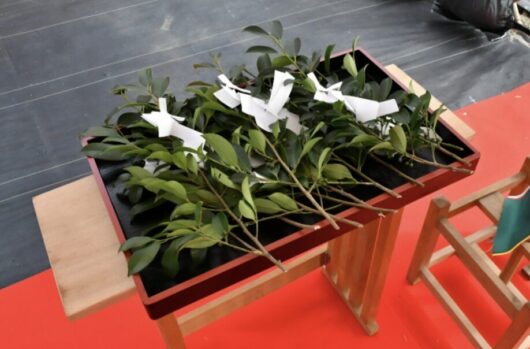 神社_2月行事_榊