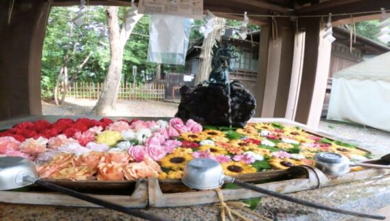 そのほか_安心_神社施設 