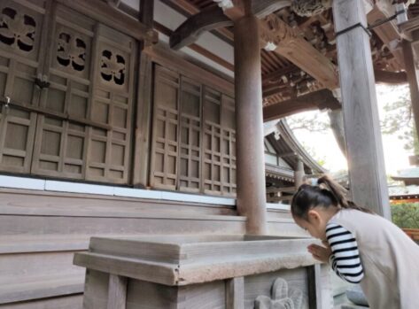 神社_どんな構造_拝殿_本殿_全体像