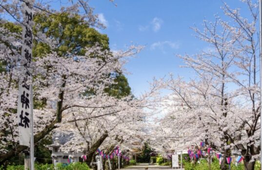 春祭り_例祭_違い