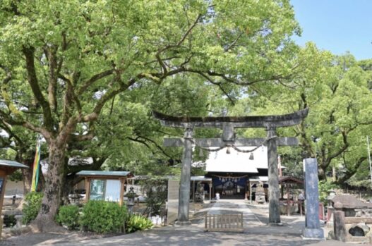 祈り_回復を願う_文化