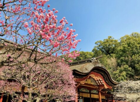 春祭り_新しい一年_はじまり