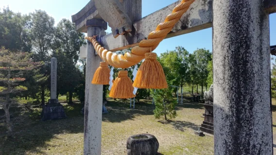 神社用しめ縄 No.015｜富山県射水市の折橋商店（創業明治43年）が手がける伝統のしめ縄