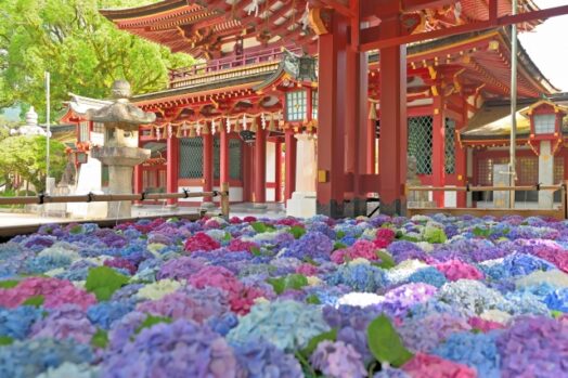 心願成就祈願_心の中の願い_託す祈り