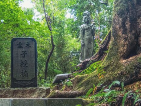 子授け祈願_いつ行く_おすすめ_タイミング