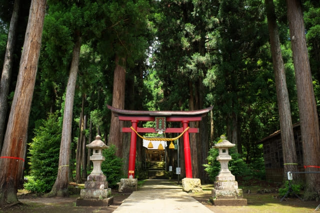 神社で活用される合成繊維製しめ縄の優れた特徴