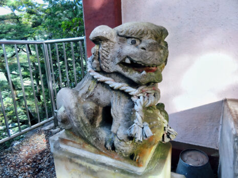 しめ縄_狛犬_神社