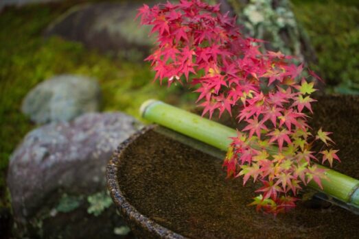 手水_正しい順番_注意点