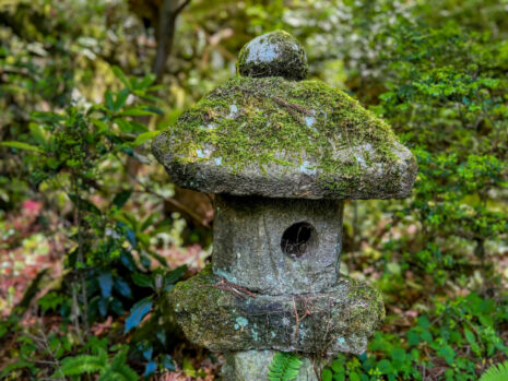灯籠_祈りを込めて奉納