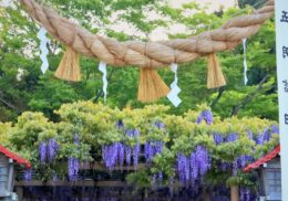 しめ縄　藁 　紙垂 　神社