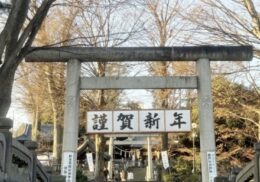 神社_初詣_参拝方法_お賽銭_おみくじ