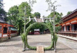 夏越の祓_茅の輪_神社