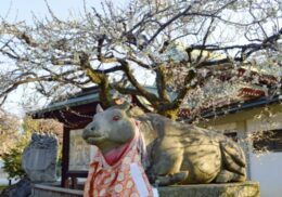 合格祈願_おすすめ_神社関西_人気