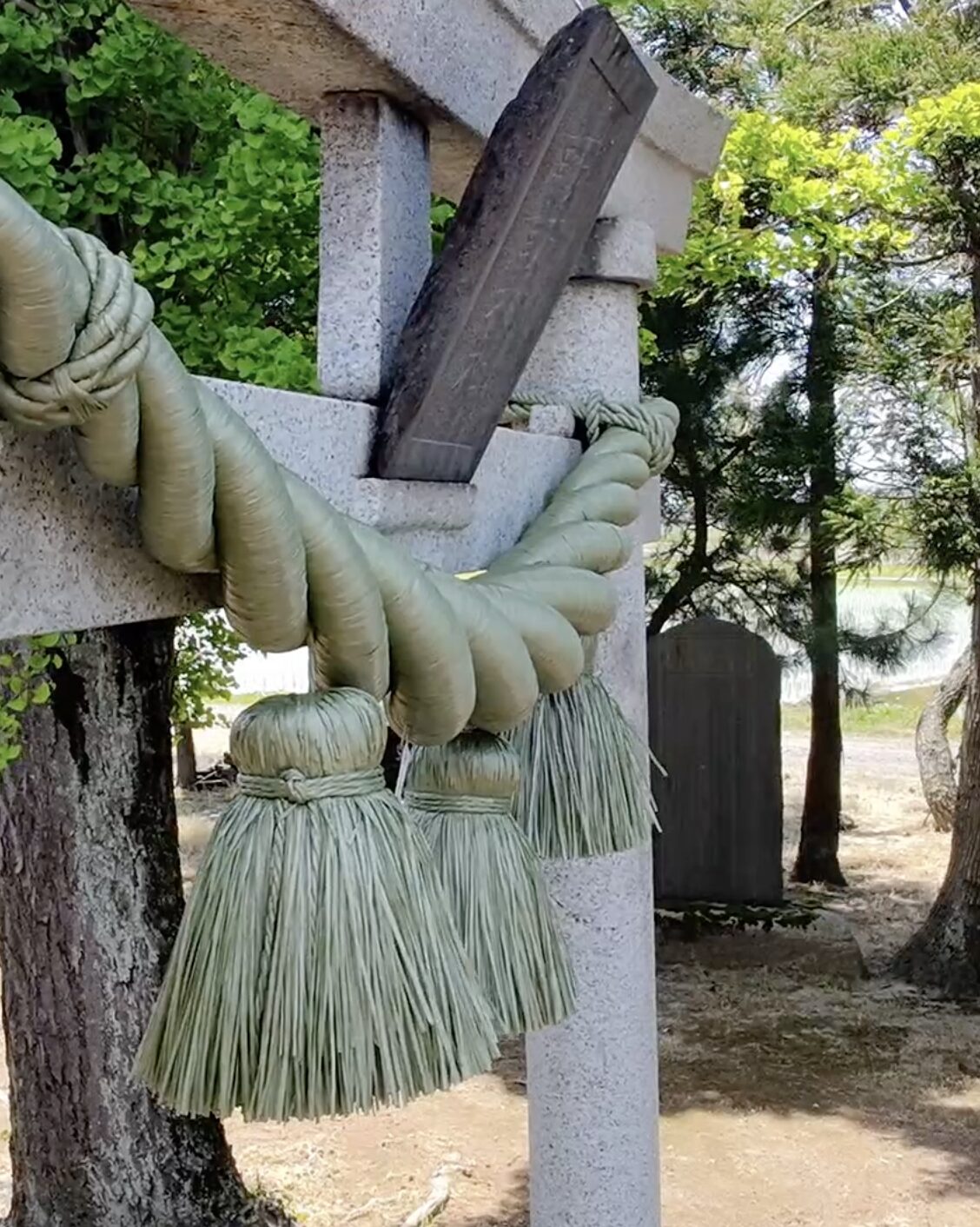 雅　鼓胴型