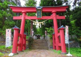 しめ縄_参拝_楽しみ方