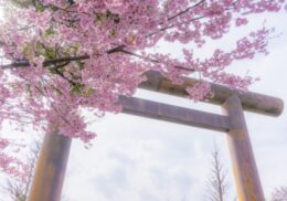 春祭りとは_春_神社行事_意味_楽しみ方_ガイド