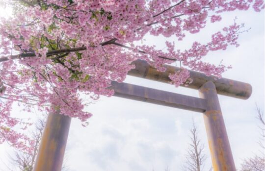 春祭りとは_春_神社行事_意味_楽しみ方_ガイド