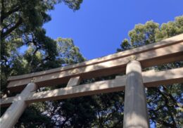 お礼参り_意味_時期_作法_神社参拝ガイド