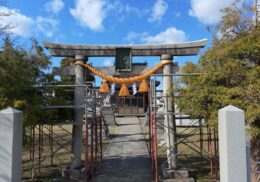 高岡市八幡宮_しめ縄_取り替え_株式会社折橋商店